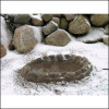 Four Seasons Birdbath with Heater (FIFS1)