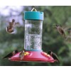 Dr. JB's Clean Feeder for Hummingbirds ~ Red & Blue