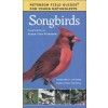 Peterson Songbirds Field Guides Book
